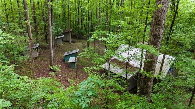 1731 Apple Pie Ridge Rd, Alto, GA 30510 - bird's eye view of a heavily wooded area