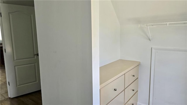 spacious closet with dark wood-style flooring