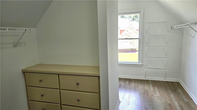 walk in closet featuring wood finished floors