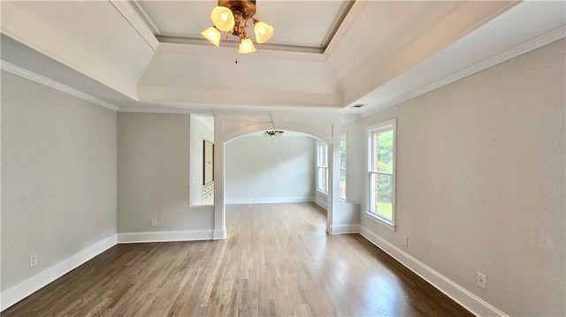 spare room featuring crown molding, a raised ceiling, a ceiling fan, and wood finished floors