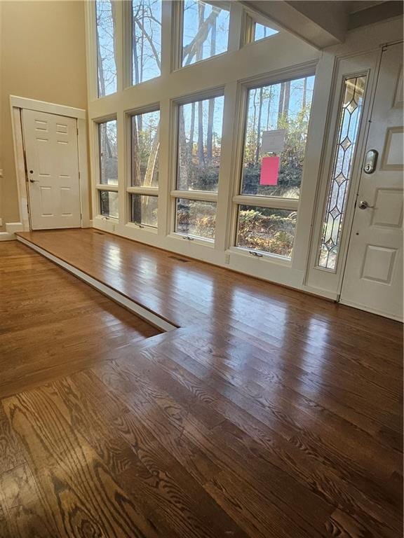 entrance foyer featuring hardwood / wood-style floors, a high ceiling, and a wealth of natural light