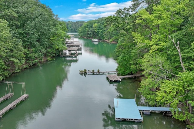 4937 Goddards Ford Rd, Gainesville, GA 30504 - dock featuring a water view and a wooded view