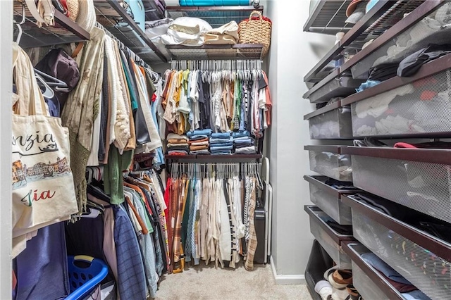 walk in closet with light colored carpet