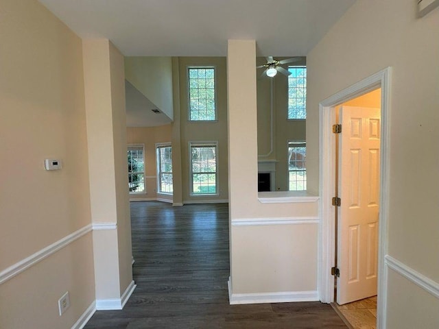 interior space with dark wood-type flooring