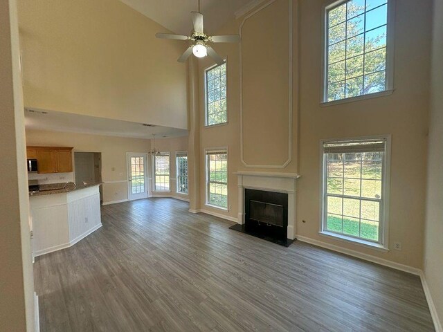 unfurnished living room with dark hardwood / wood-style flooring, plenty of natural light, and a towering ceiling