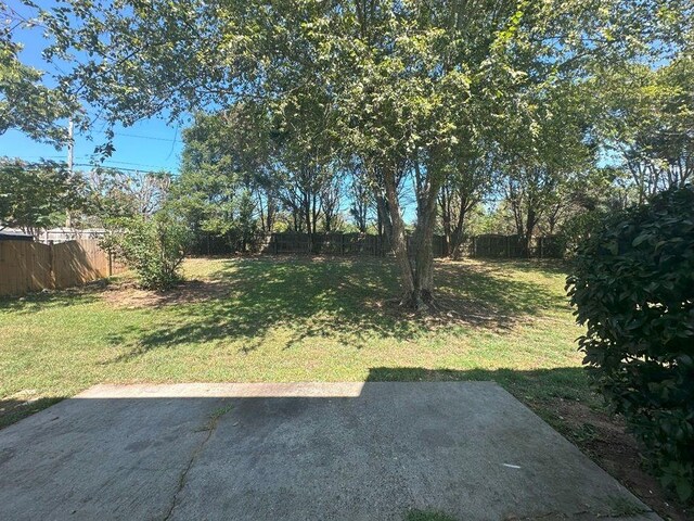 view of yard featuring a patio area