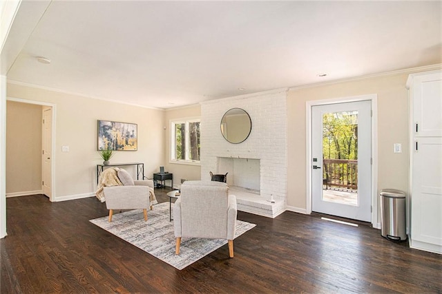 9640 Cedar Grove Rd, Fairburn, GA 30213 - living room with ornamental molding, dark wood-style flooring, baseboards, and a fireplace