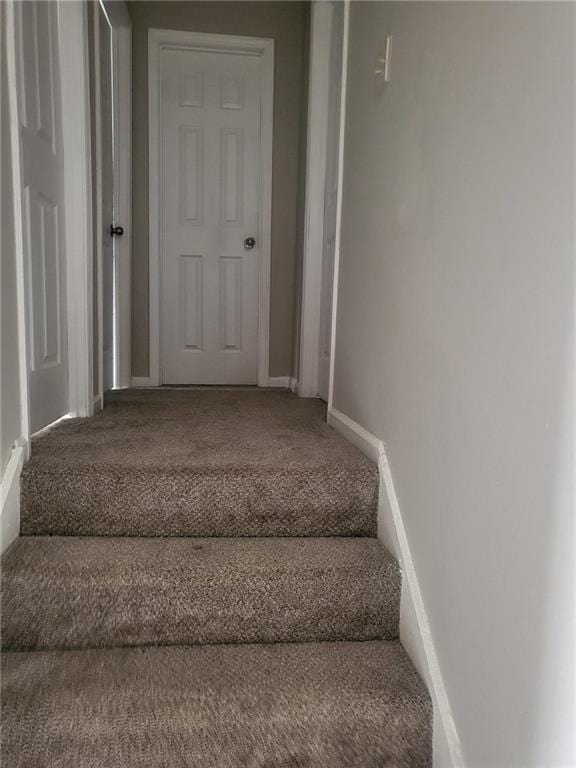 stairs featuring carpet