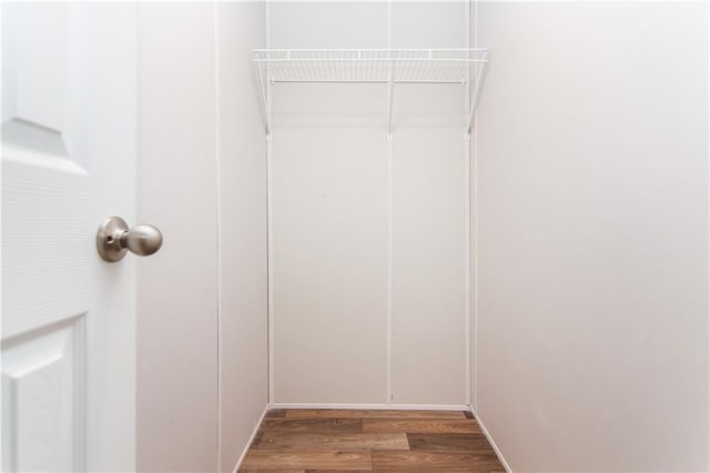 spacious closet featuring dark wood-type flooring