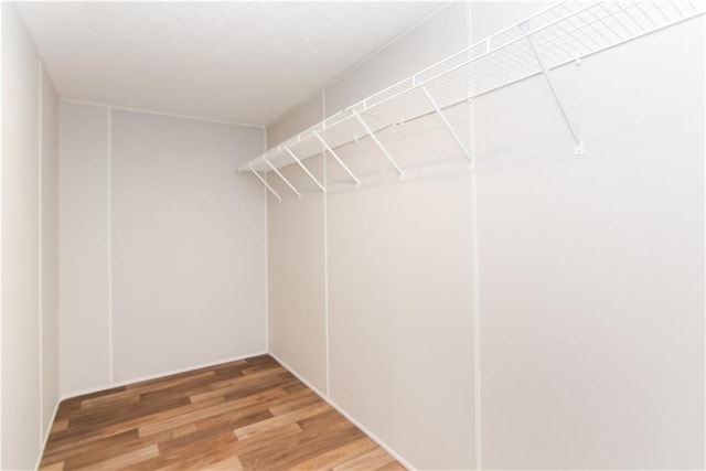 walk in closet with hardwood / wood-style floors