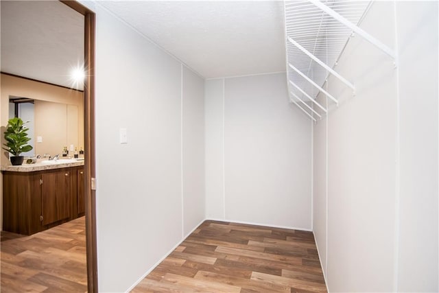 spacious closet with hardwood / wood-style floors and sink