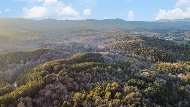 property view of mountains