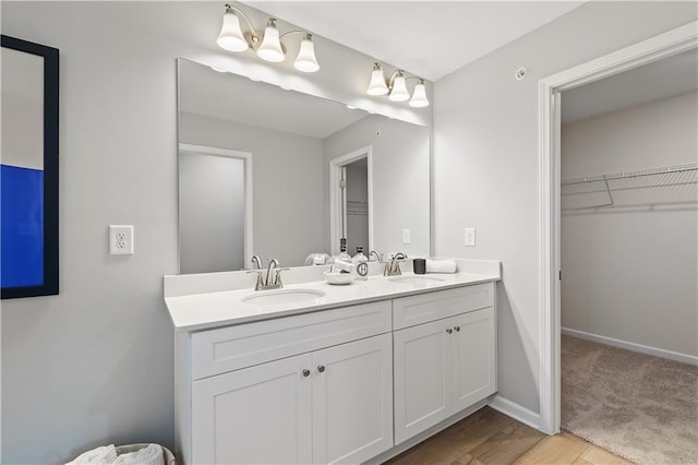 bathroom featuring a walk in closet, a sink, and double vanity