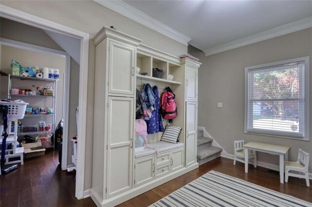 mudroom with baseboards, dark wood-style floors, and crown molding