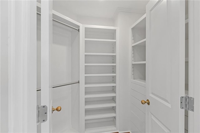 view of walk in closet
