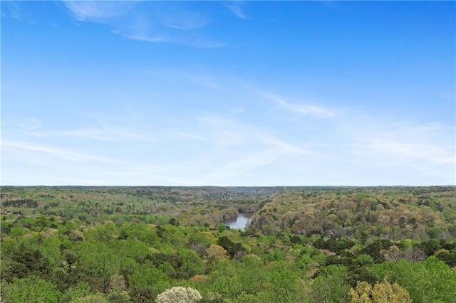 drone / aerial view with a wooded view