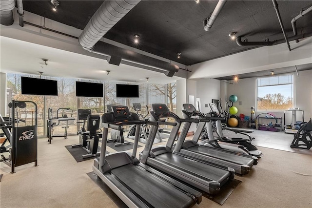 gym featuring light colored carpet