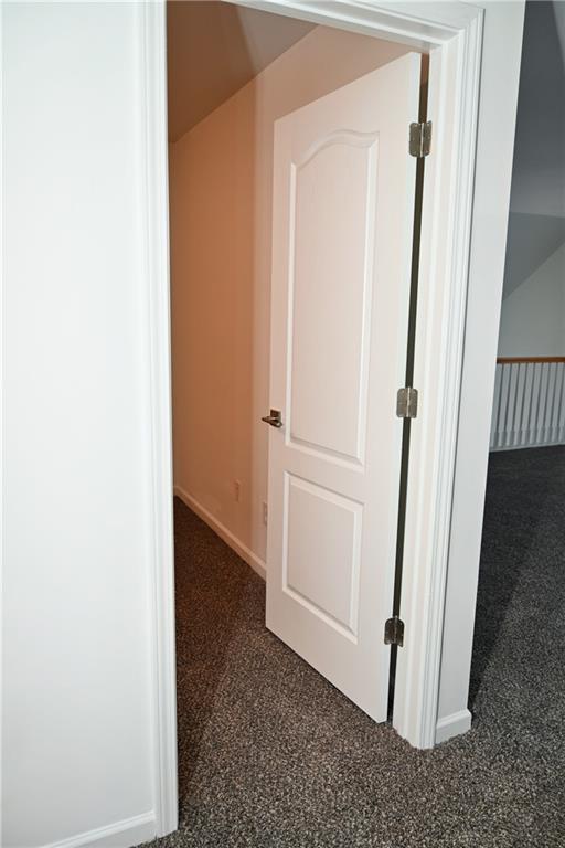 spare room with carpet flooring