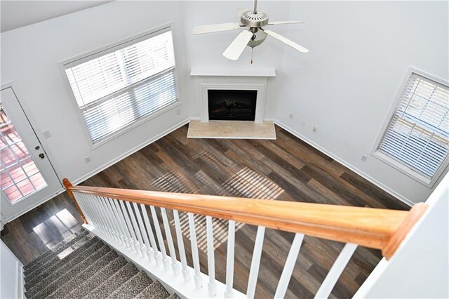 stairway with hardwood / wood-style floors