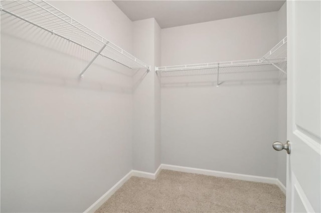 walk in closet featuring carpet