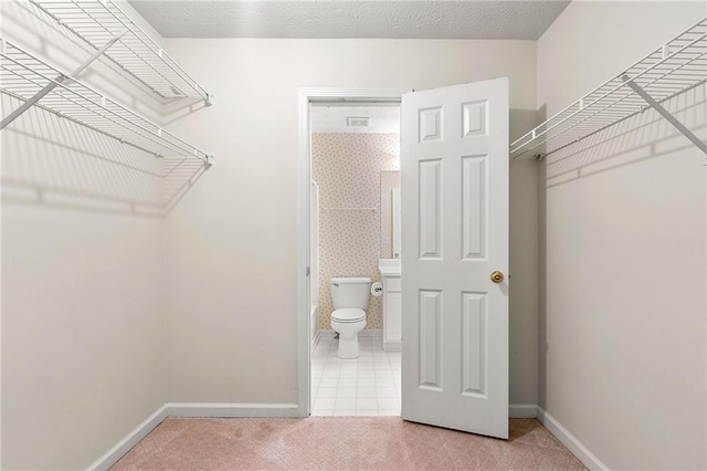 3040 Majestic Park Ct, Duluth, GA 30096 - spacious closet with carpet floors