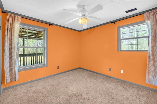 spare room with crown molding, ceiling fan, and carpet