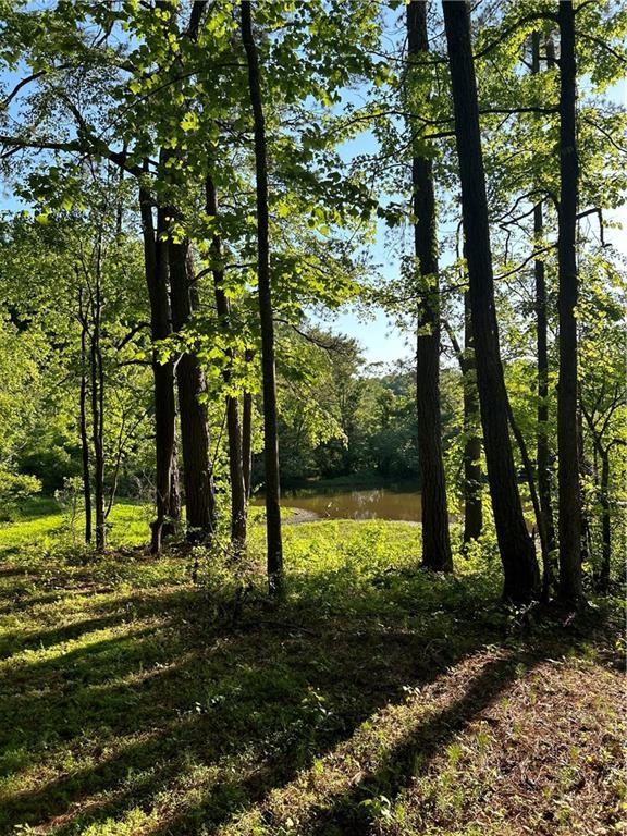 109 Wood Duck Lndg, Canton GA, 30115 land for sale