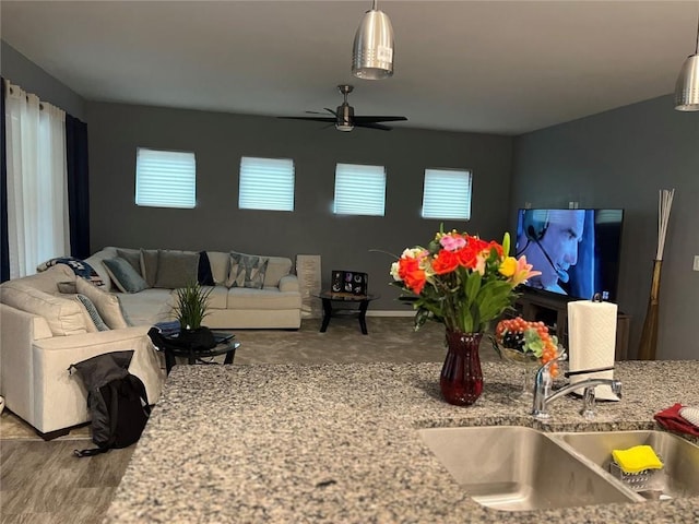 living room featuring a healthy amount of sunlight and ceiling fan