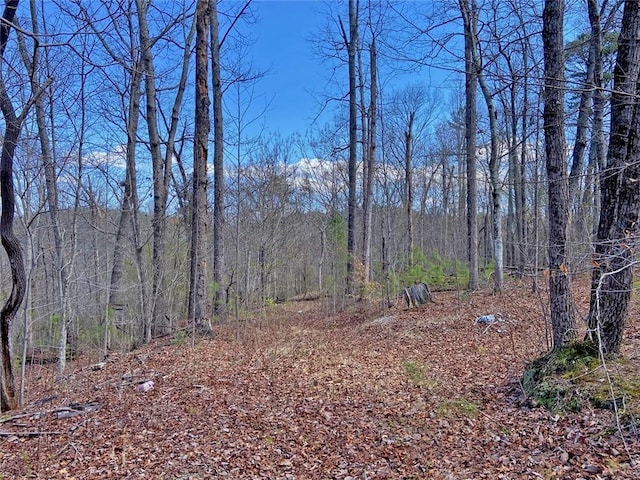 Listing photo 3 for 211 Gomez Ln, Dawsonville GA 30534