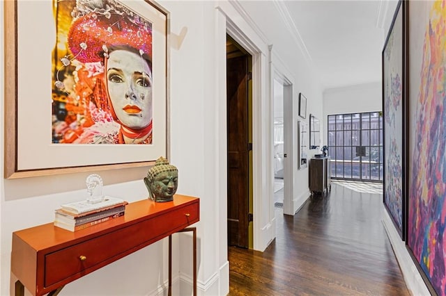 hall featuring dark wood finished floors and crown molding