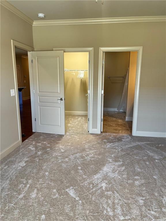 spacious closet featuring carpet