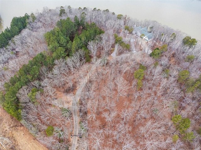 2600 Ramsey Rd, Gainesville, GA 30501 - birds eye view of property