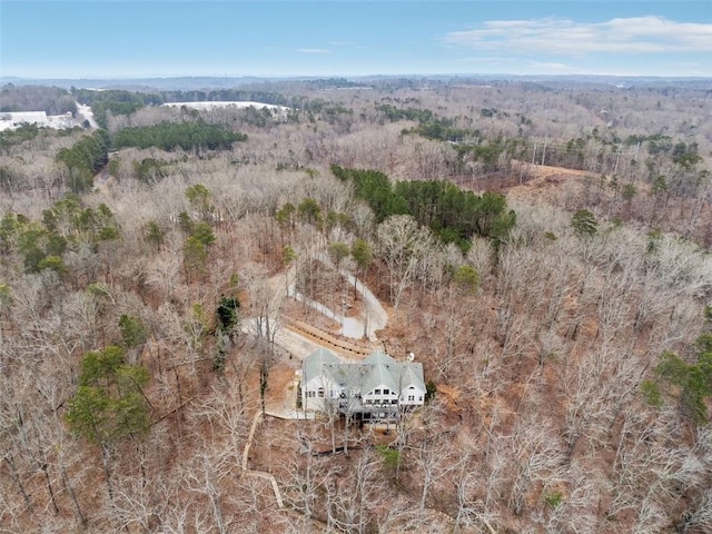 2600 Ramsey Rd, Gainesville, GA 30501 - birds eye view of property