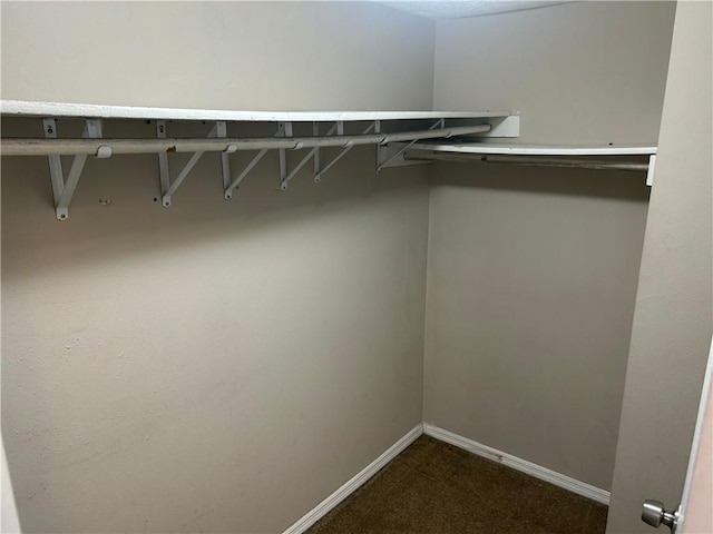 4963 Windsor Downs Ln, Decatur, GA 30035 - spacious closet with carpet flooring