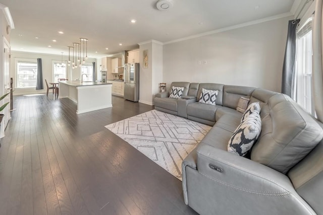 living room featuring ornamental molding and dark hardwood / wood-style flooring