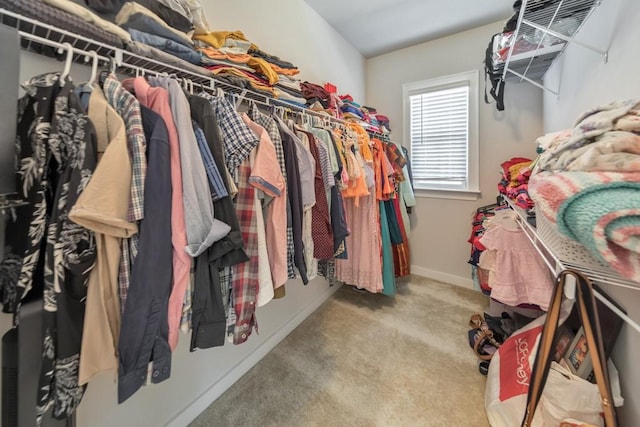 spacious closet with carpet