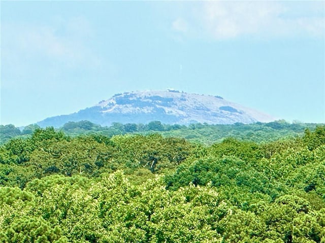 view of mountain feature