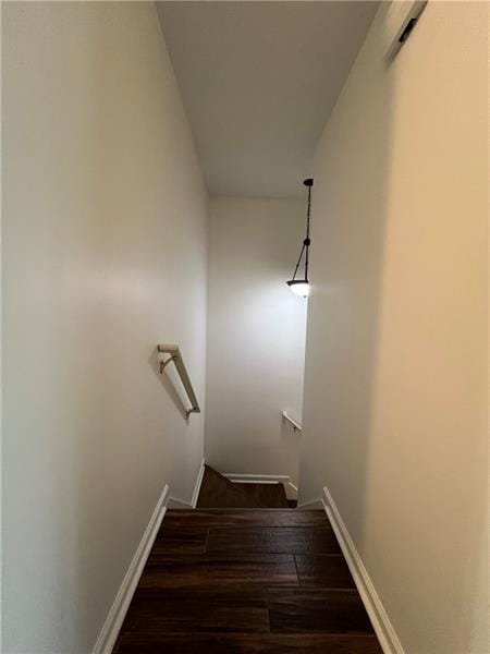 stairway with hardwood / wood-style flooring