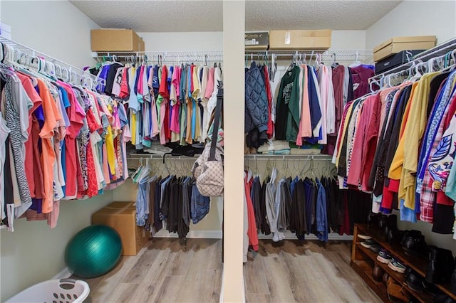 walk in closet featuring wood finished floors