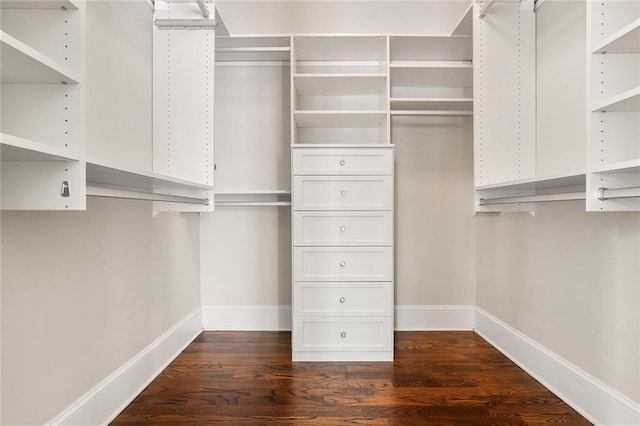 walk in closet with dark hardwood / wood-style floors