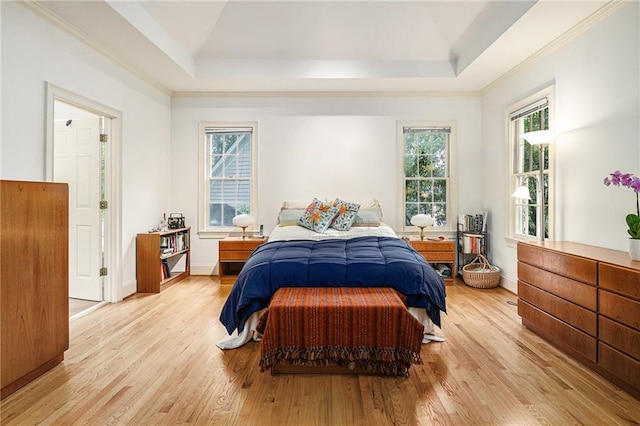 80 Stratford Pl NE, Atlanta, GA 30342 - bedroom featuring light wood-type flooring, lofted ceiling, and a raised ceiling