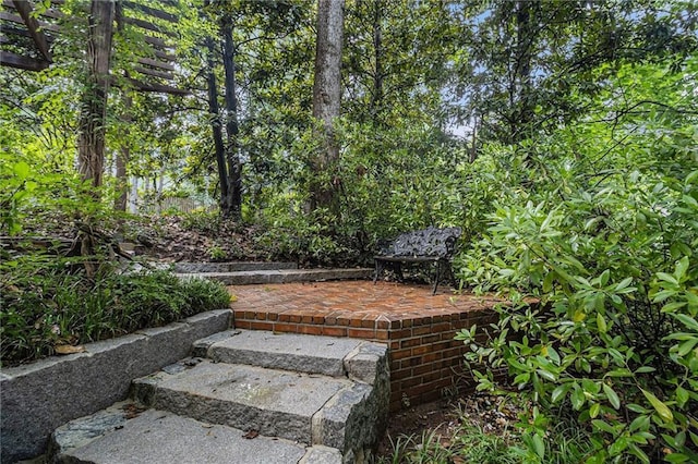 80 Stratford Pl NE, Atlanta, GA 30342 - view of yard featuring a patio