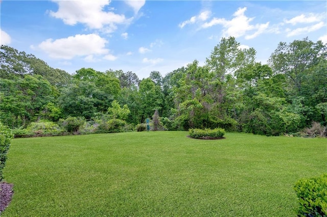view of yard with a wooded view