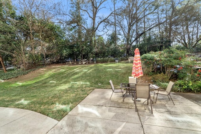 view of yard featuring a patio area