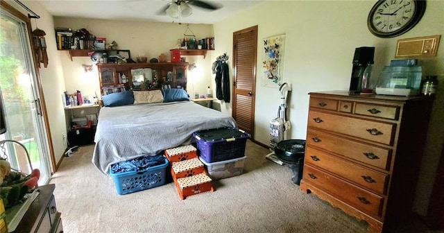 bedroom featuring carpet, multiple windows, and a closet