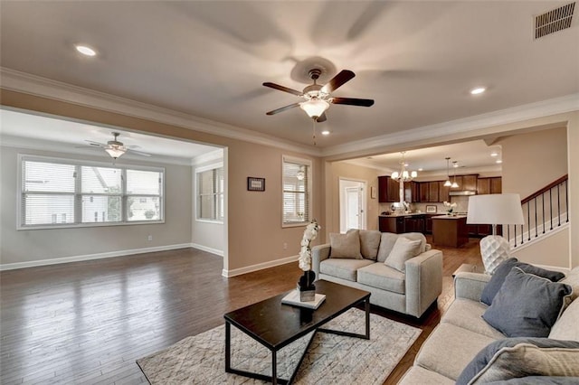 living room featuring crown molding, a healthy amount of sunlight, ceiling fan with notable chandelier, and dark hardwood / wood-style flooring