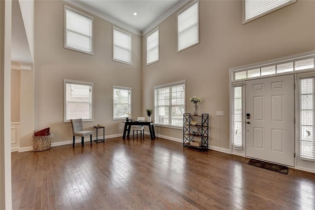 foyer featuring a towering ceiling and dark hardwood / wood-style flooring