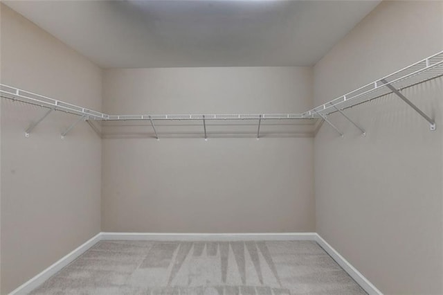 walk in closet with light carpet