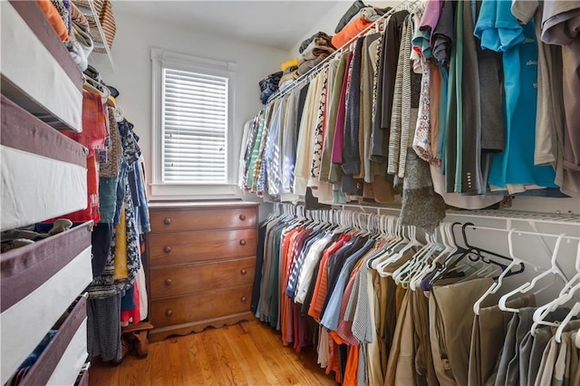 walk in closet featuring light wood-type flooring