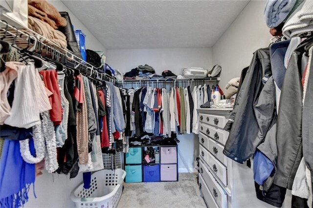 spacious closet with light colored carpet